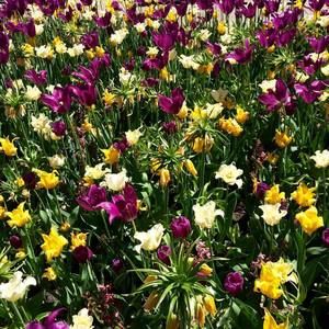 Meet your Posher, Sheri